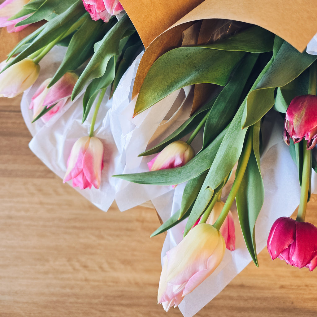 Tulip Subscription - 4 Bunches