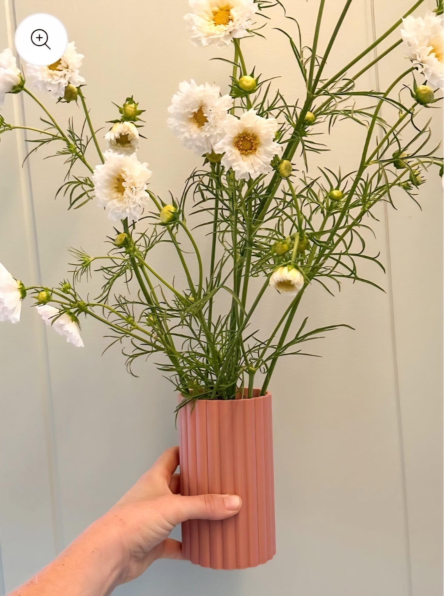Flora & Thread